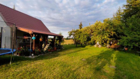 Domek w Sadzie, Marcinowa Wola